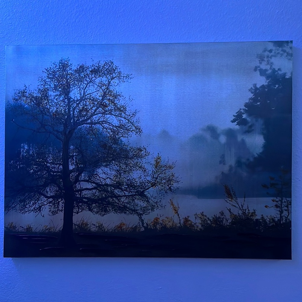 Tree Oil Painting.